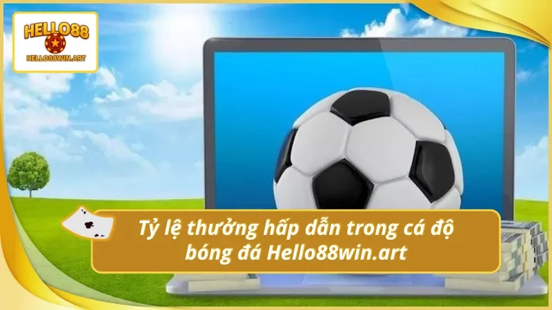 Hiểu rõ tỷ lệ thưởng khi cá độ bóng đá trực tuyến